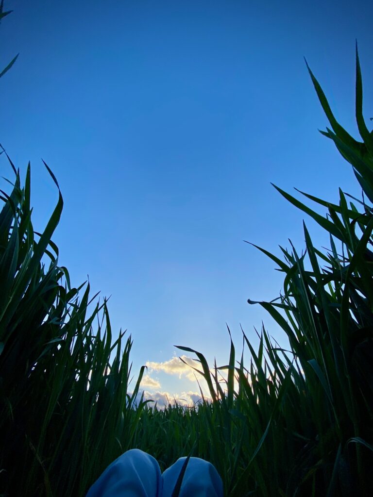 Αλεξάνδρα Φανουριάκη