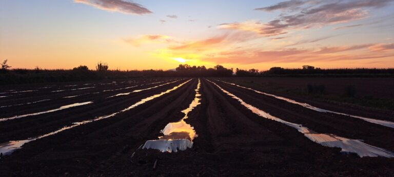 Γεώργιος Βασιλόπουλος