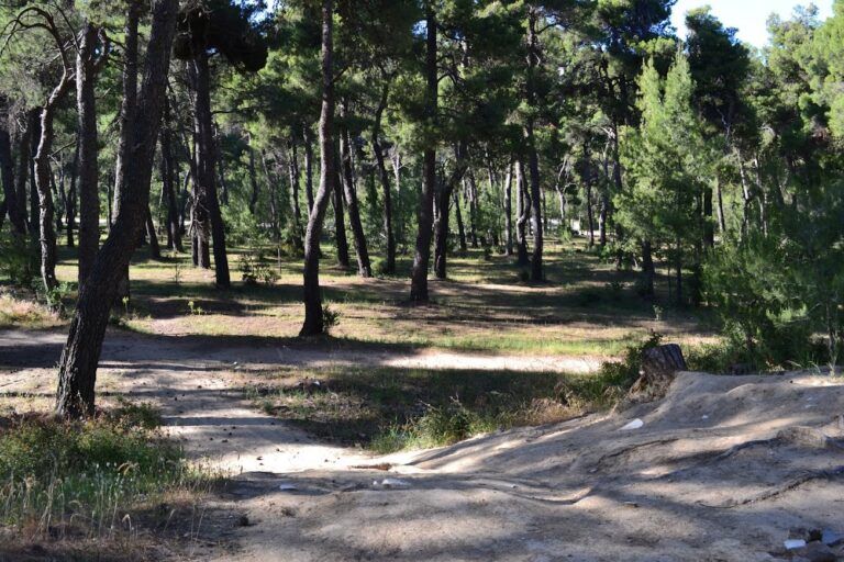 Ζαχαρίας Κουτσολέλος