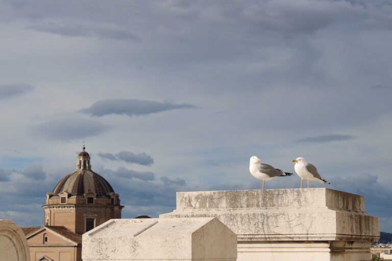 Ισίδωρος Θεόδωρος Ρηγόπουλος