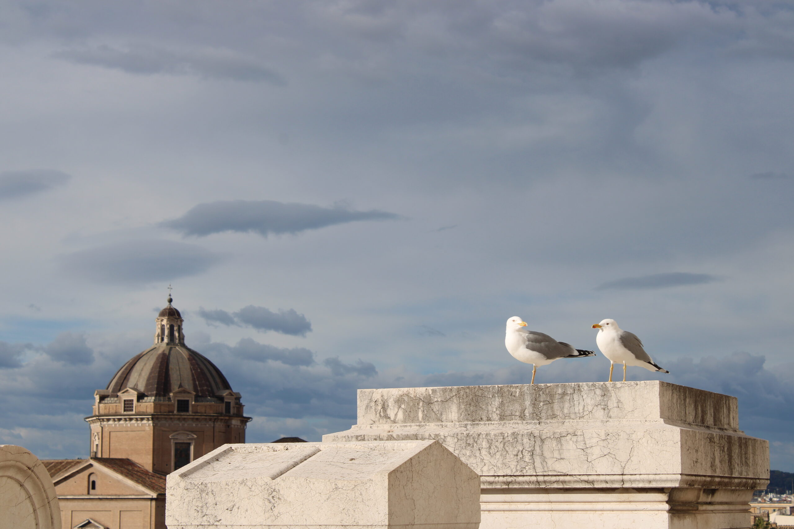 Ισίδωρος Θεόδωρος Ρηγόπουλος