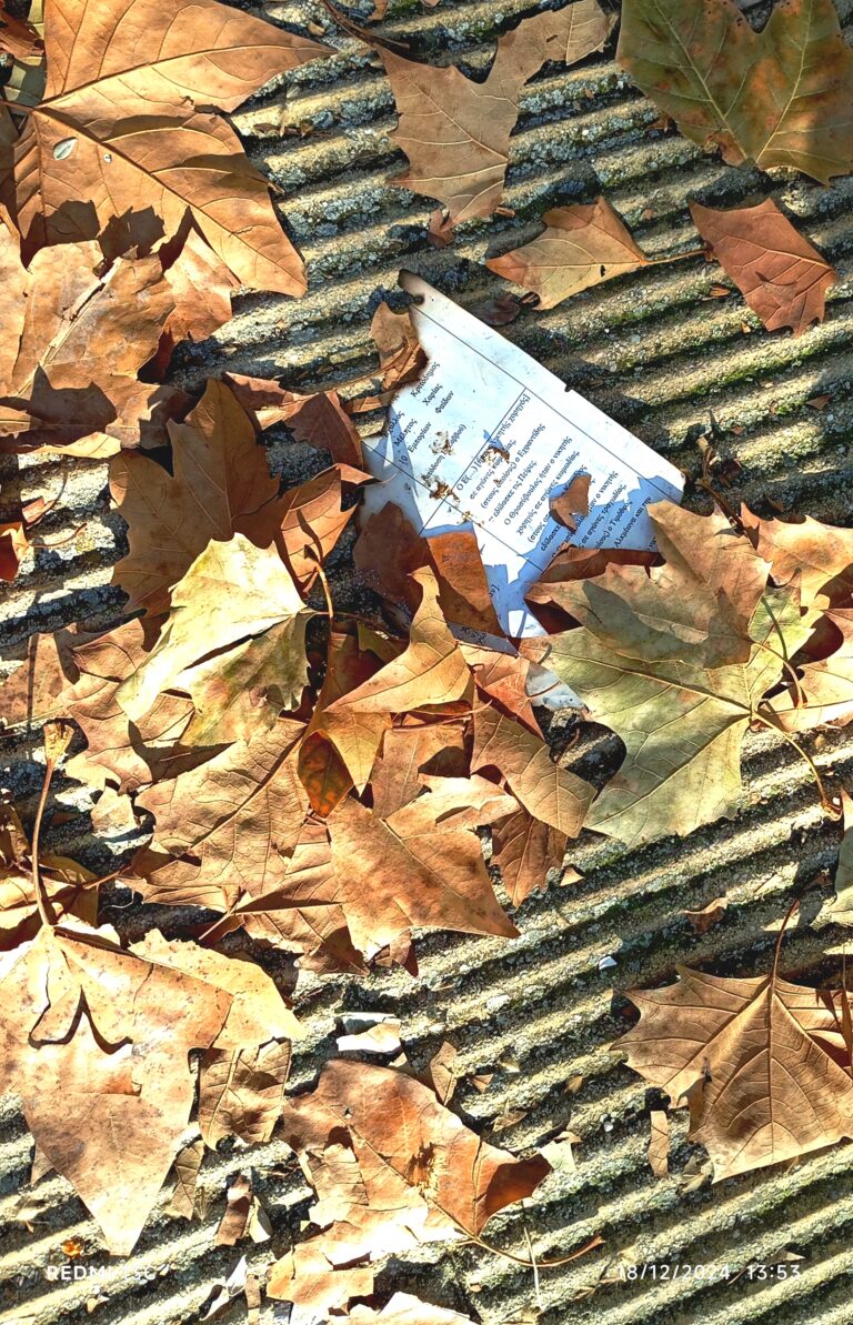 Ιωάννα Τσορώνη