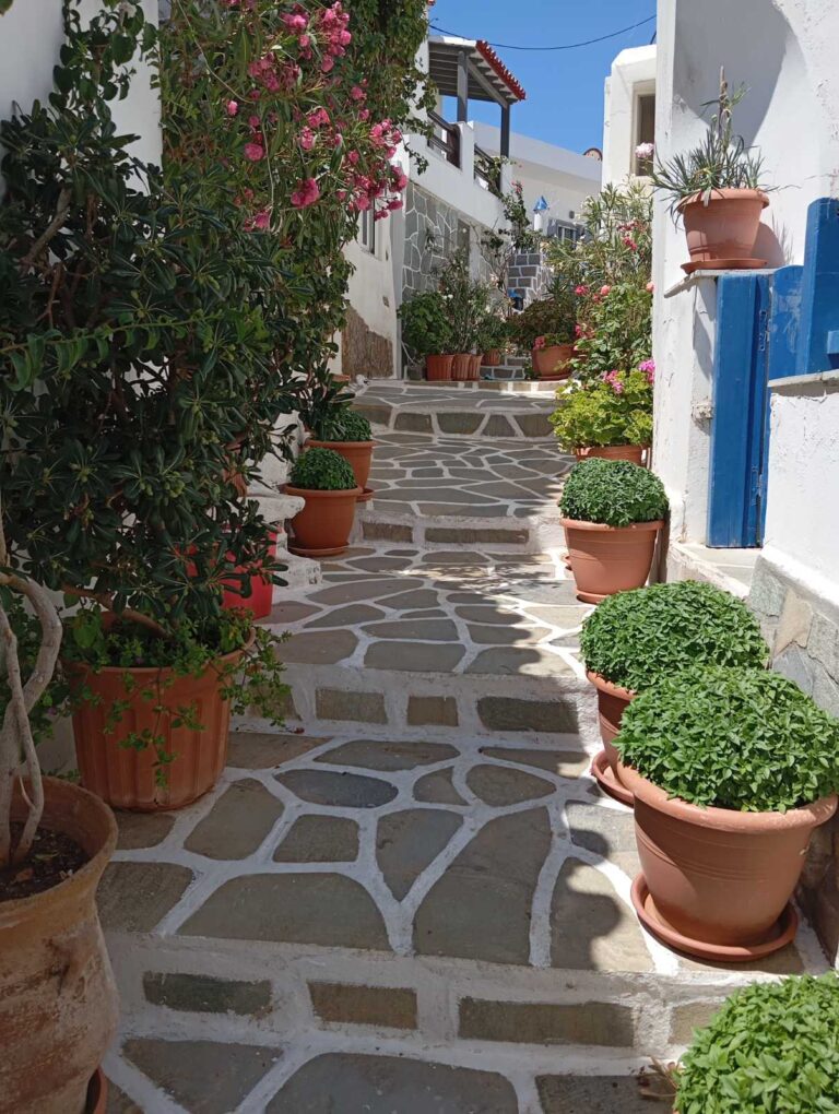 Μαρίνα Περλέγκα