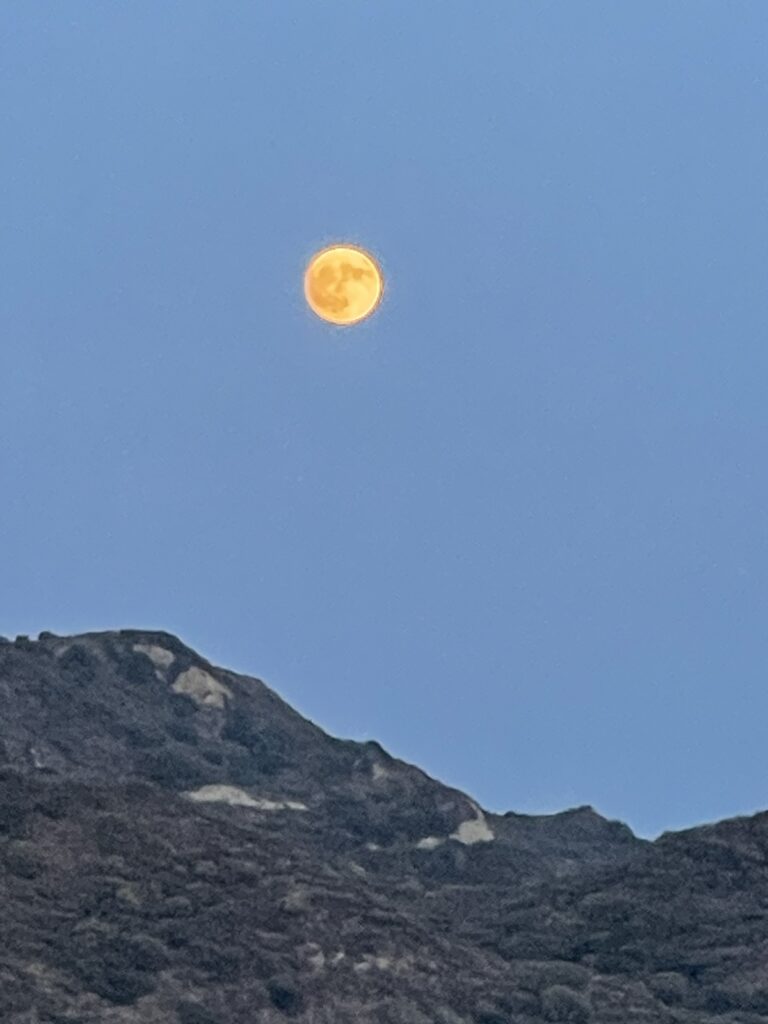 Μυρτώ Γεωργοπούλου