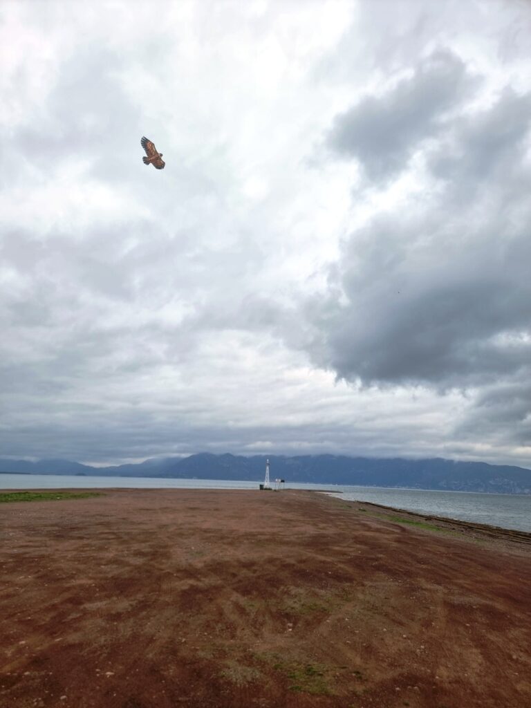 Νικόλαος Κολοφωτιάς